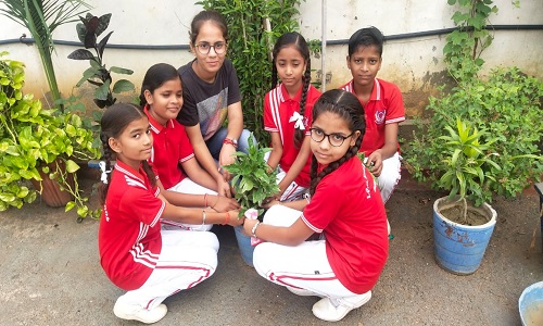 team Image